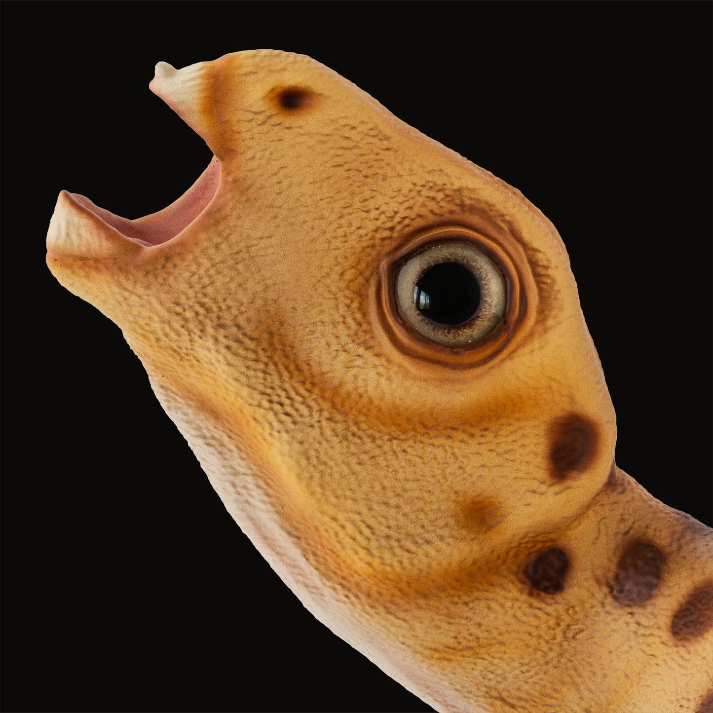 Iguanodon Schlüpfling