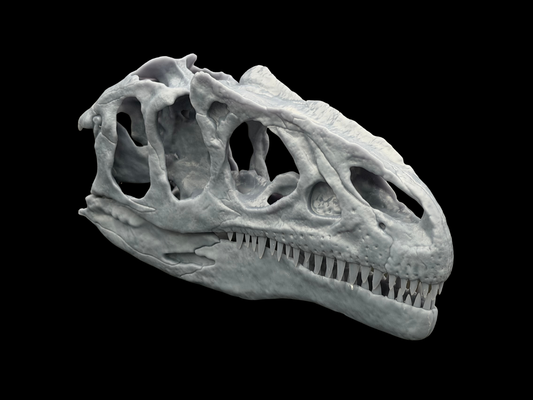 Allosaurus Schädel-Replik im Maßstab 1:3 aus der Ancient Giants Collection