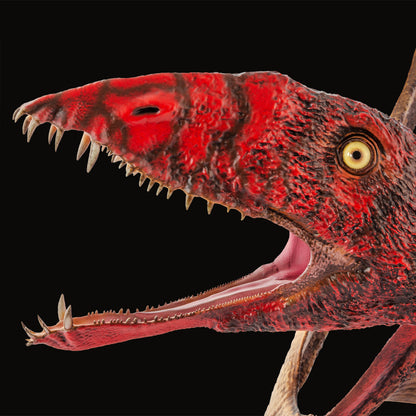 Dimorphodon