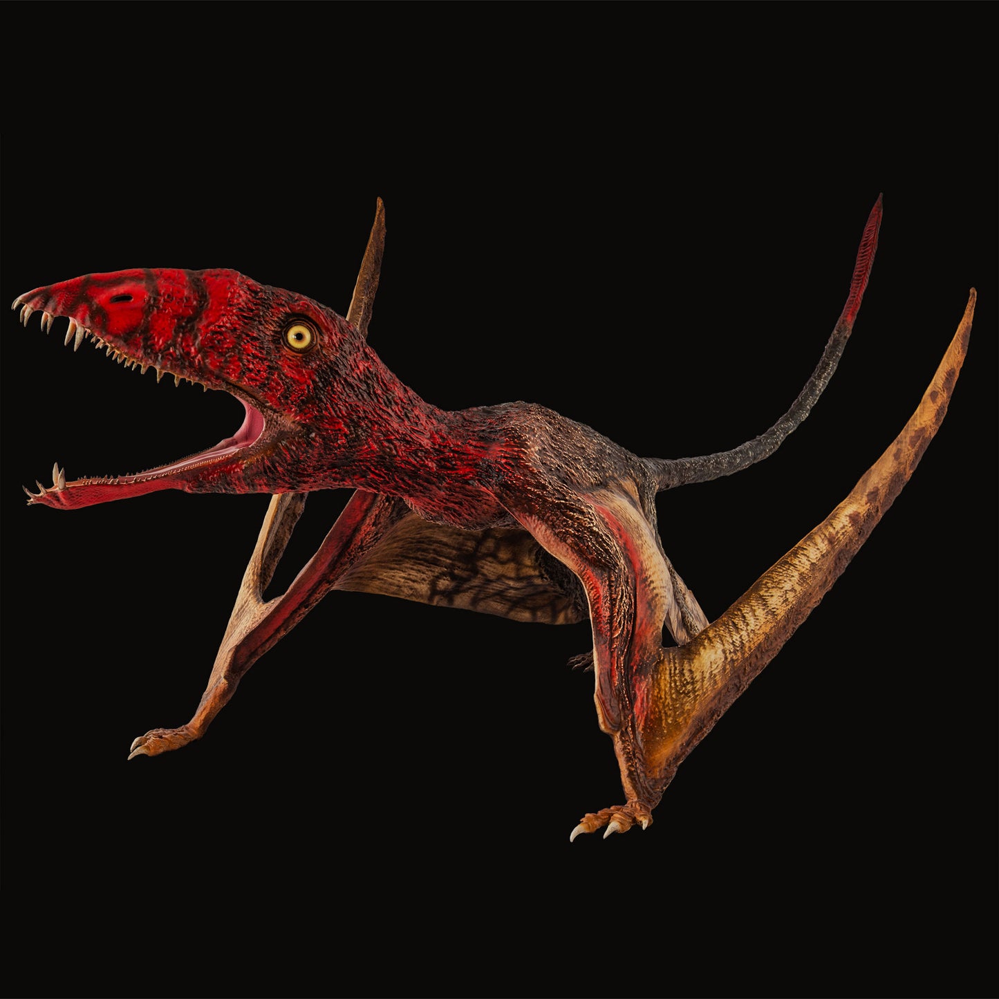 Dimorphodon