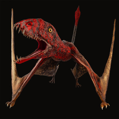 Dimorphodon