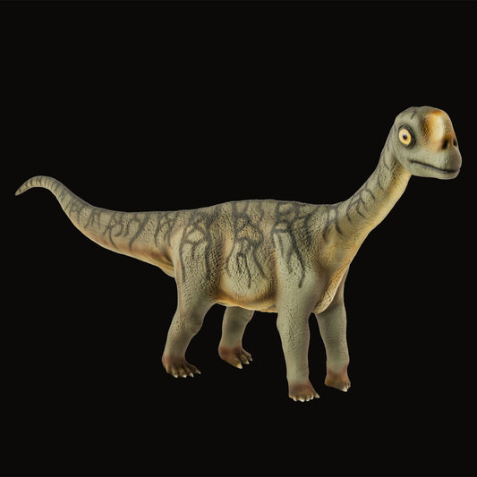 Europasaurus Baby