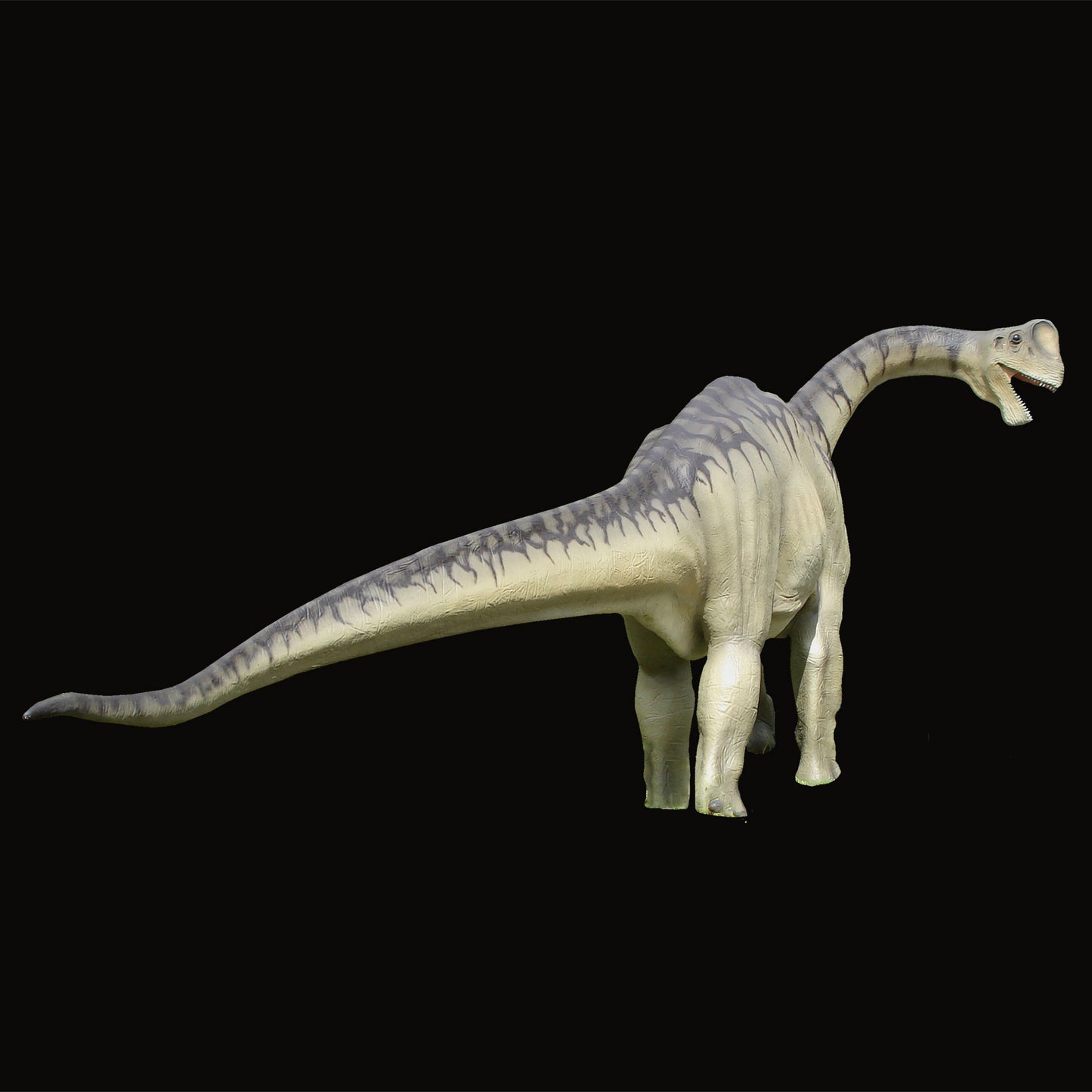 Europasaurus